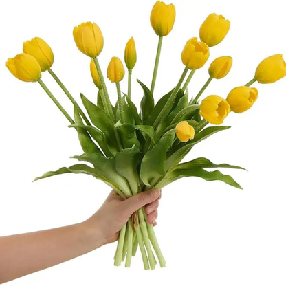 EverBlomst™ – Naturtro Tulipaner