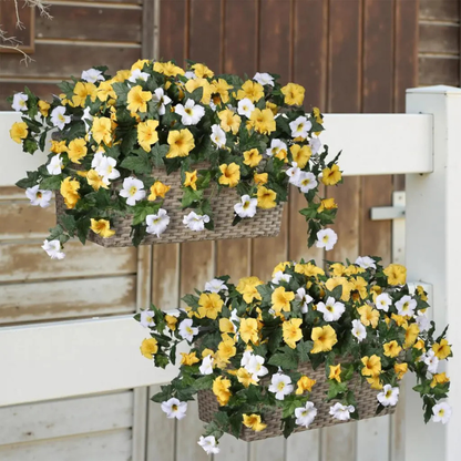 EvigPetunia™ – Fyldig blomsterpragt – uden vedligeholdelse
