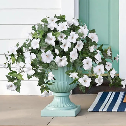 EvigPetunia™ – Fyldig blomsterpragt – uden vedligeholdelse