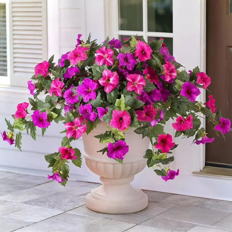 EvigPetunia™ – Fyldig blomsterpragt – uden vedligeholdelse