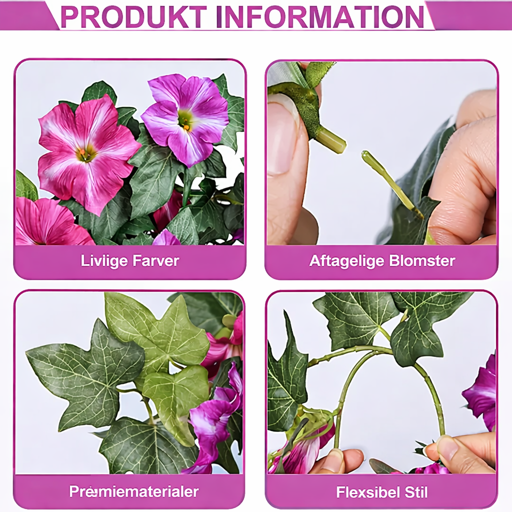 EvigPetunia™ – Fyldig blomsterpragt – uden vedligeholdelse