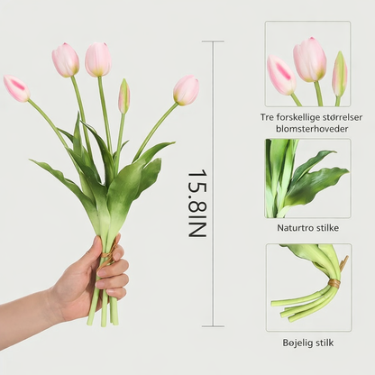 EverBlomst™ – Naturtro Tulipaner