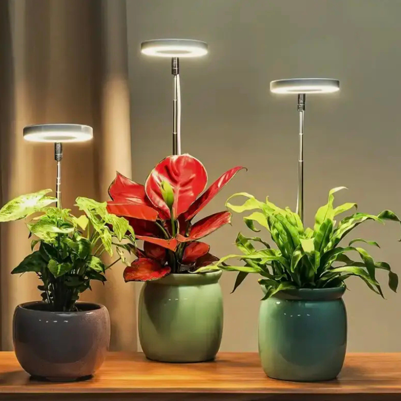 PlanteGlød™ – Giv dine planter det lys, de savner