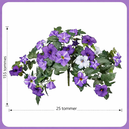 EvigPetunia™ – Fyldig blomsterpragt – uden vedligeholdelse