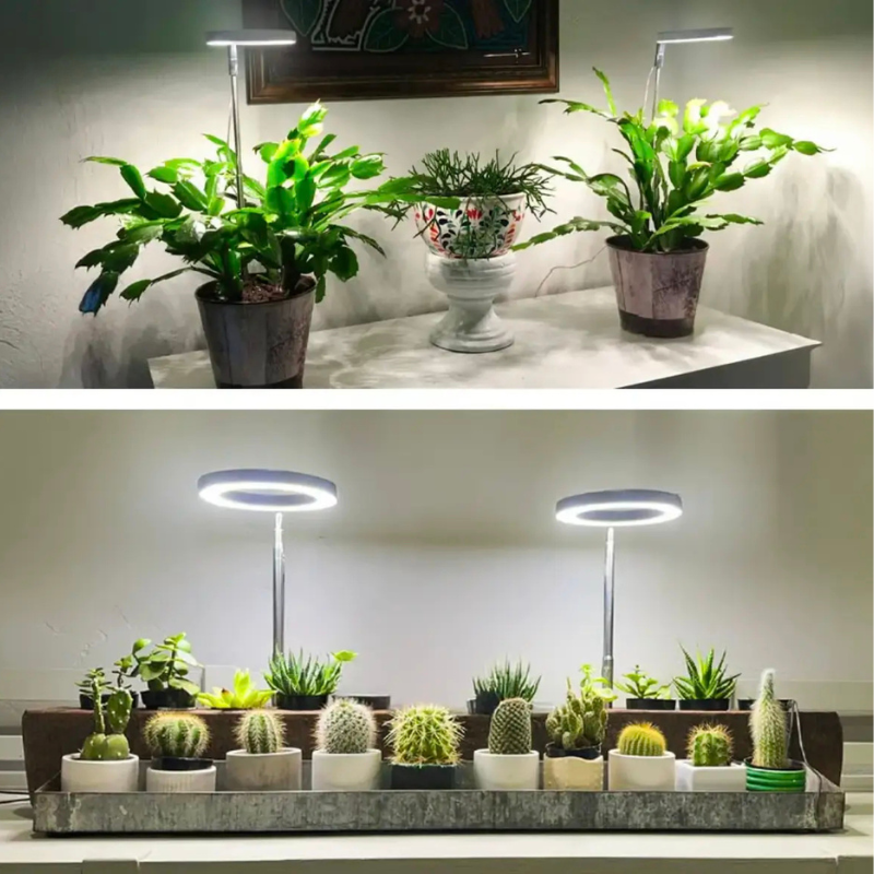 PlanteGlød™ – Giv dine planter det lys, de savner