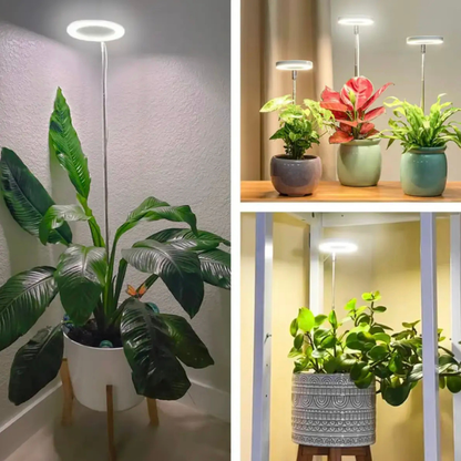 PlanteGlød™ – Giv dine planter det lys, de savner