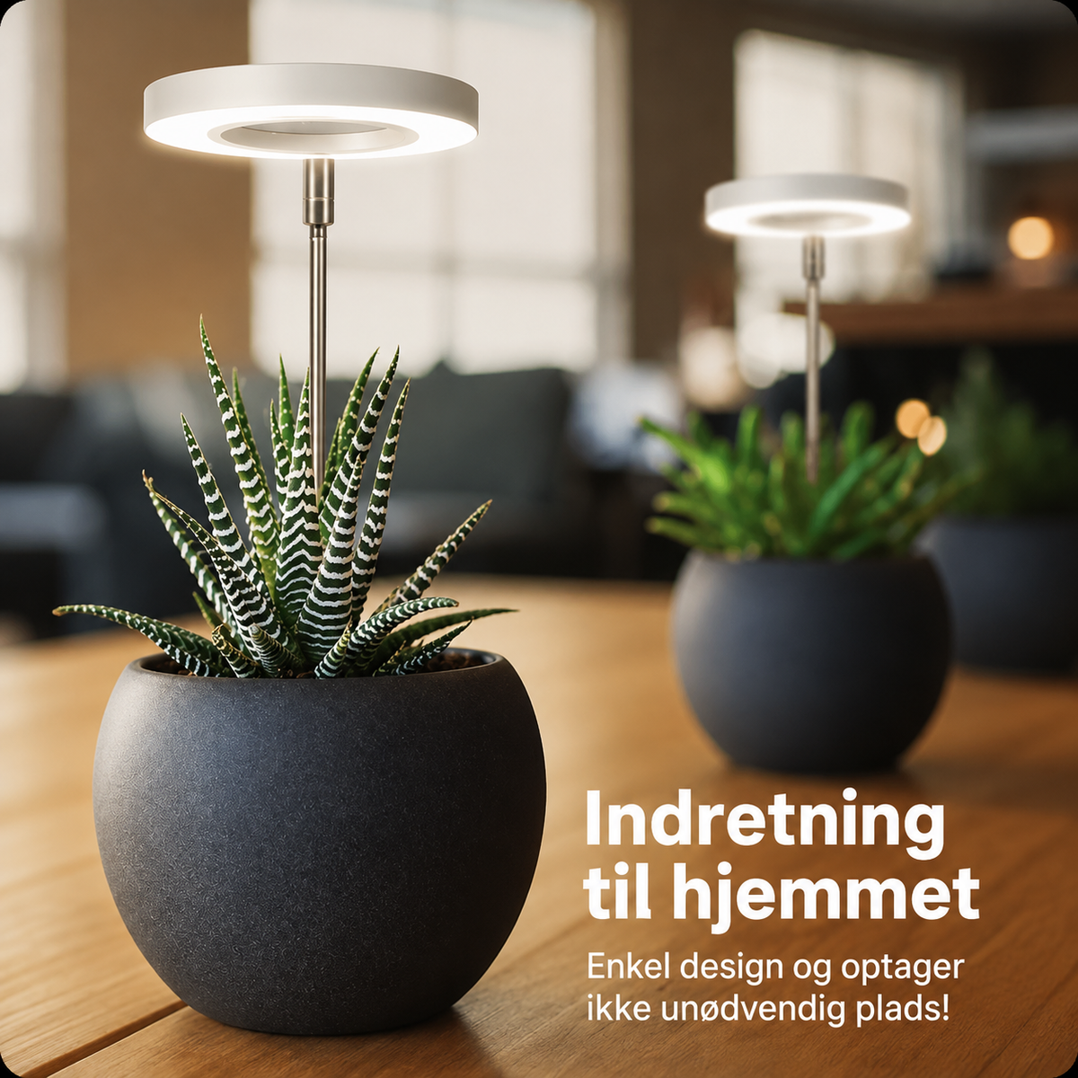 PlanteGlød™ – Giv dine planter det lys, de savner