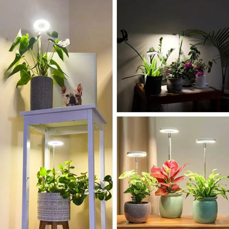 PlanteGlød™ – Giv dine planter det lys, de savner