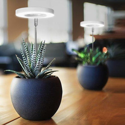 PlanteGlød™ – Giv dine planter det lys, de savner