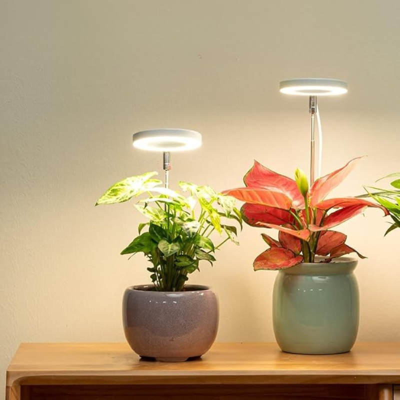 PlanteGlød™ – Giv dine planter det lys, de savner