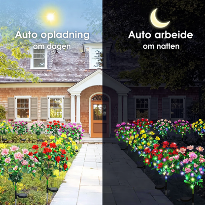 EvigBlomst™ Solcelleblomster – Skab en levende have uden vedligeholdelse