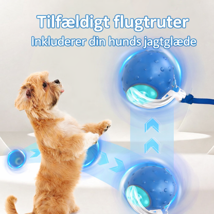 HaleHop™ - Holder din hund aktiv og glad selv når du ikke er hjemme