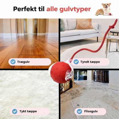 HaleHop™ - Holder din hund aktiv og glad selv når du ikke er hjemme