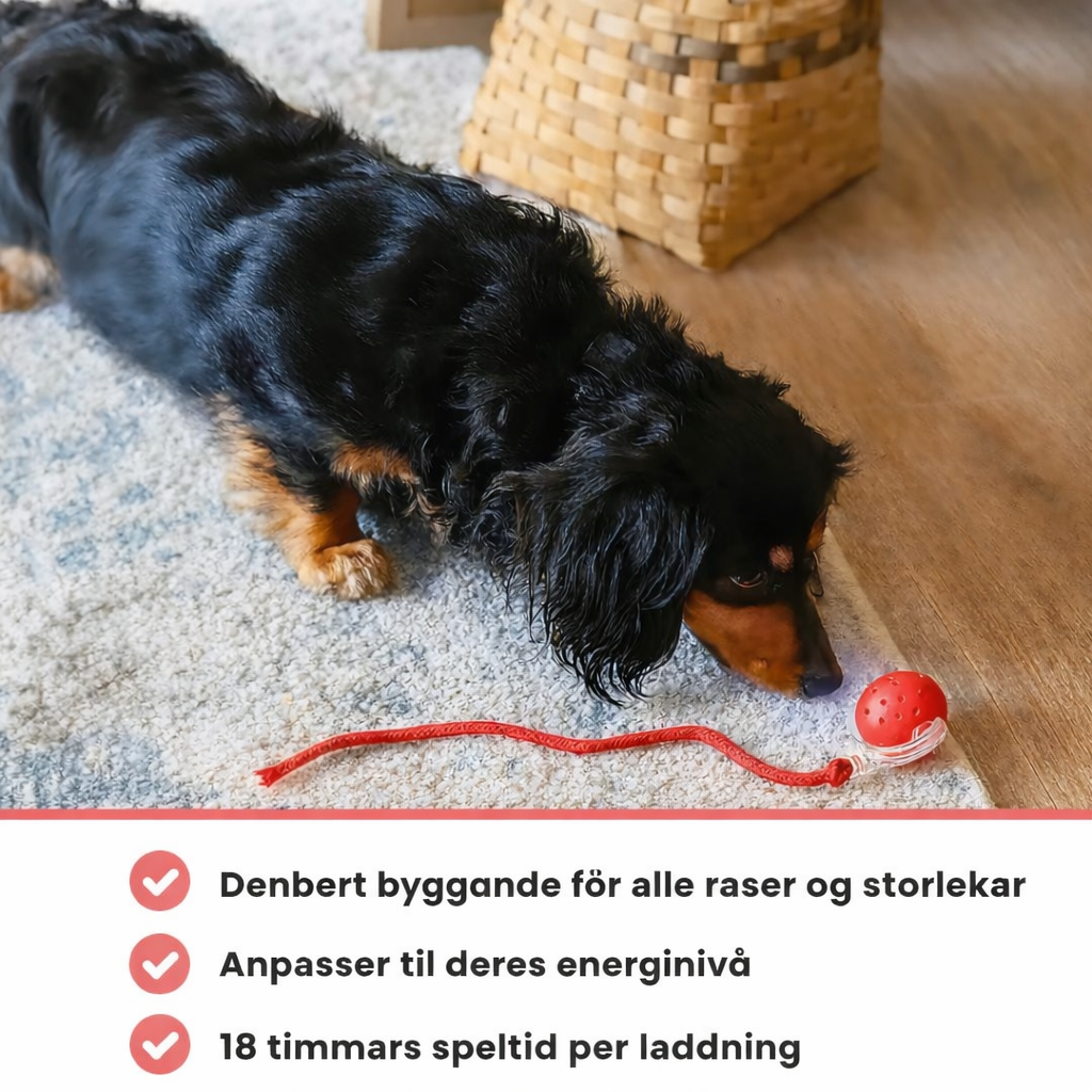 HaleHop™ - Holder din hund aktiv og glad selv når du ikke er hjemme