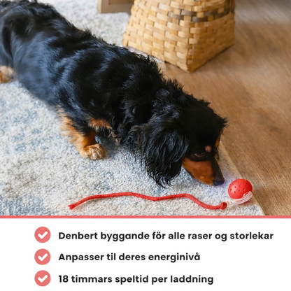 HaleHop™ - Holder din hund aktiv og glad selv når du ikke er hjemme