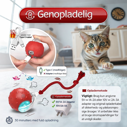 HaleHop™ - Holder din hund aktiv og glad selv når du ikke er hjemme