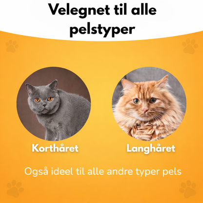 VinterKat™ - Skånsom pelspleje hele året rundt