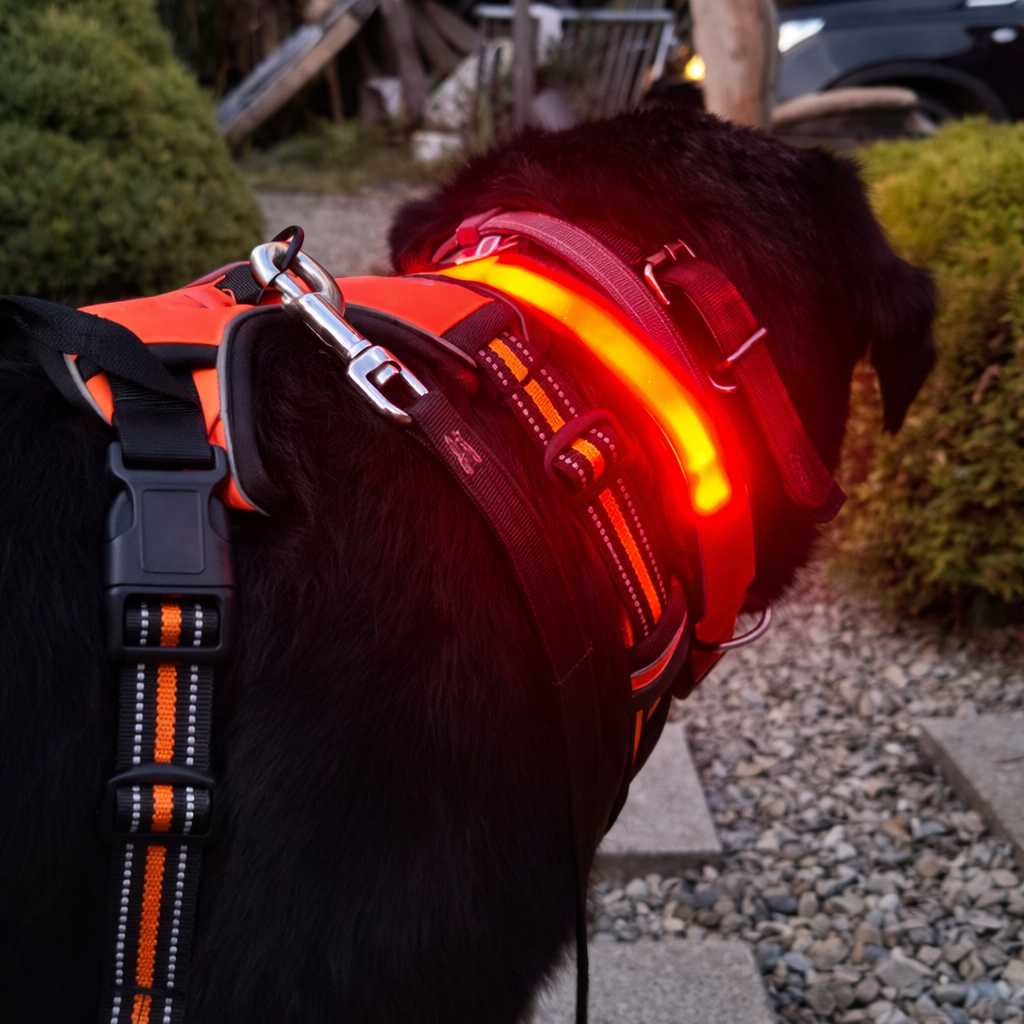 GlowPote™ - Lyser kraftigt op og oplades nemt uden batterier