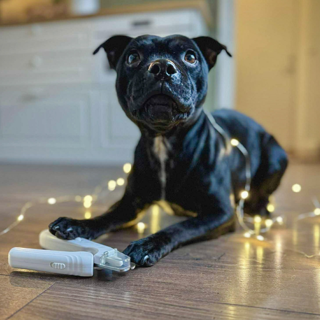 PoteKlip™ - Skånsom negleklipning – tryg og stressfri for dit kæledyr 🐾✂️