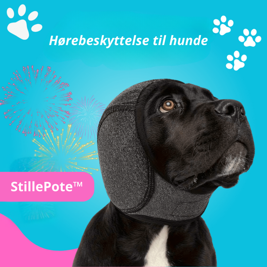 StillePote™ - Høreværn til Hunde